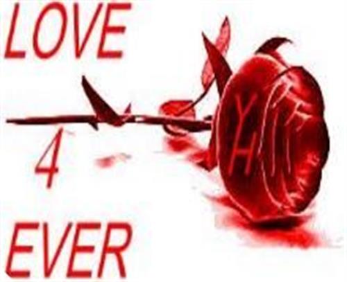 hamid&nbsp;gasempoor